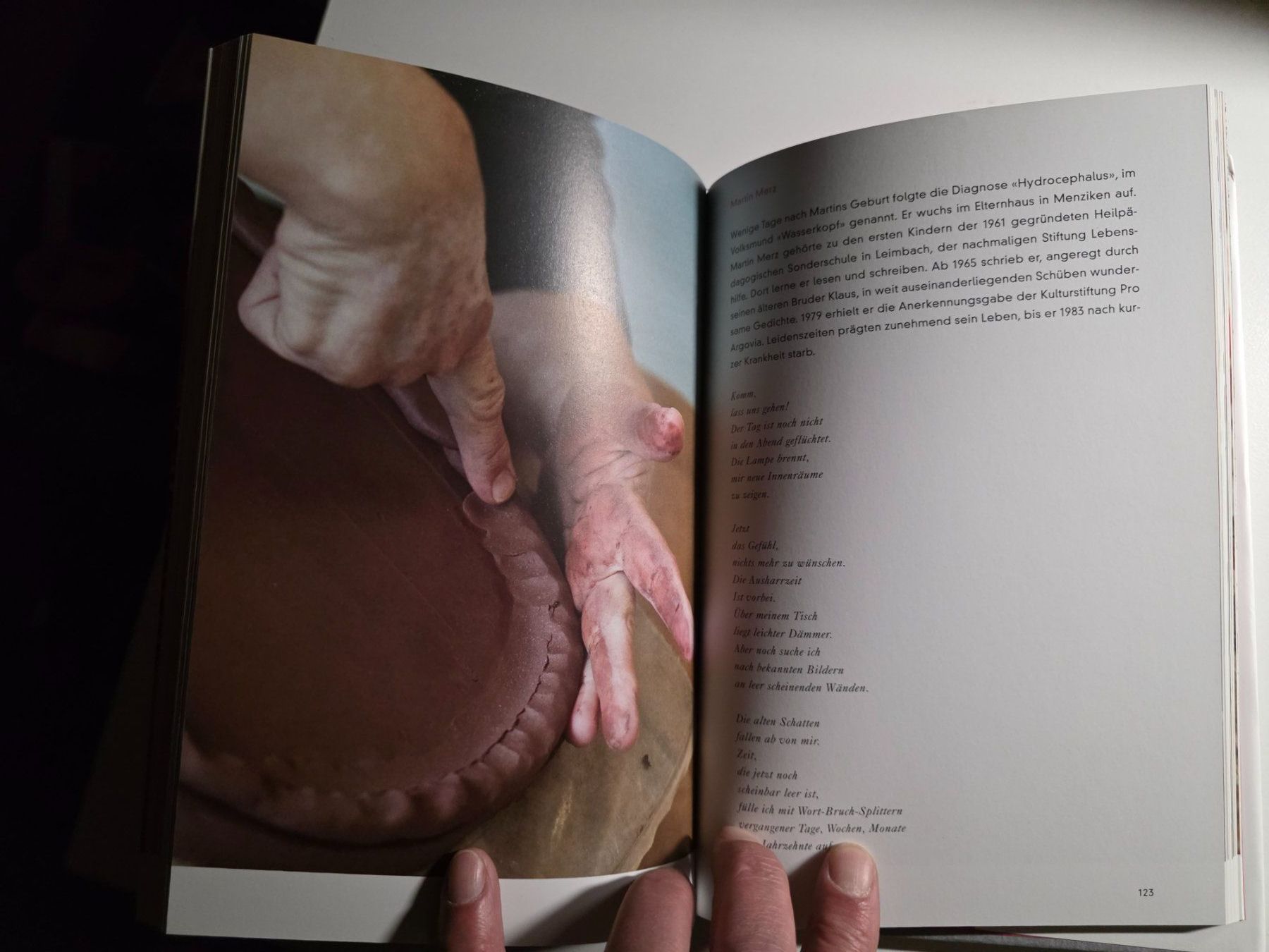 Libri: Wir sind gleich. Und anders. - Stiftung Lebenshilfe - 2011 – Usato da Walterswil BE venduto da Lonitti 2