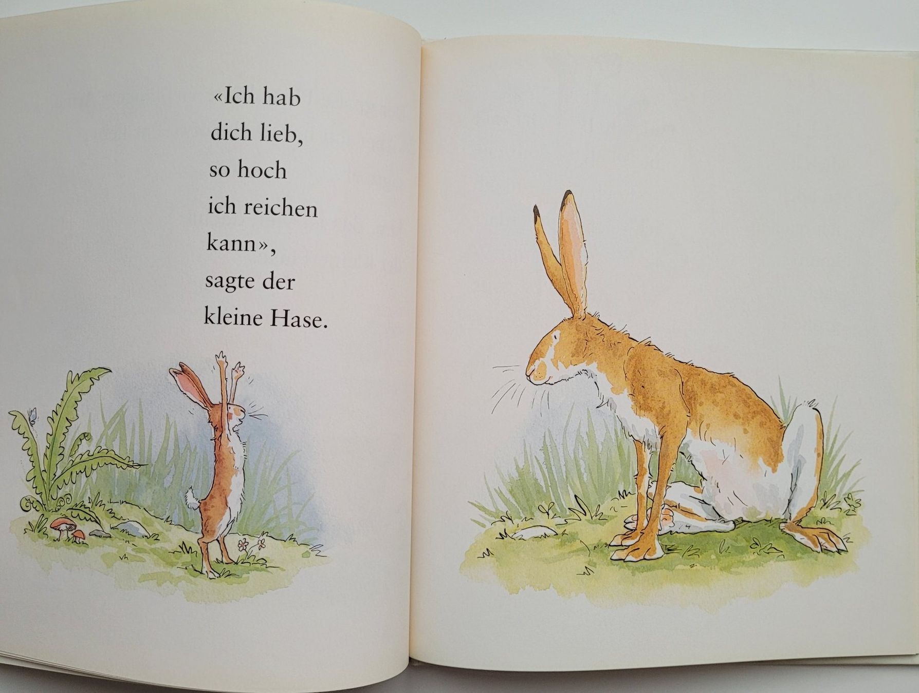 Libri: Weisst du eigentlich, wie lieb ich dich hab? – Usato da Würenlos venduto da Felisha 3