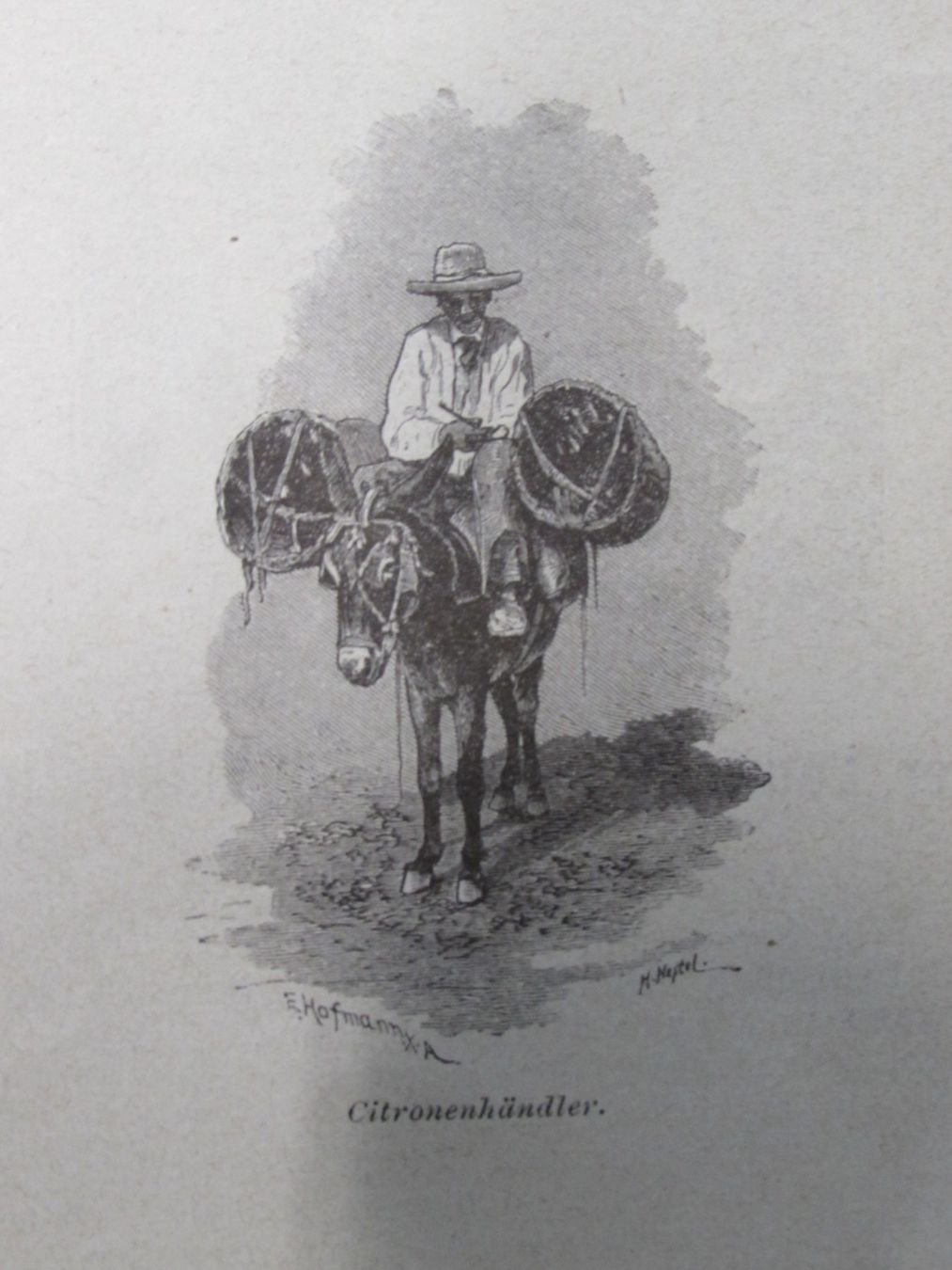 Stiche: Locarno/Lago, 1894 – Gebraucht aus Walchwil von Shells1 3