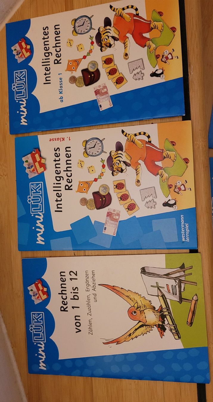 Bücher: Mini Lük und 6  Lernhefte " 1. Klasse plus Gerät – Neu (gemäss Beschreibung) aus Winkel von Tongabonga 7