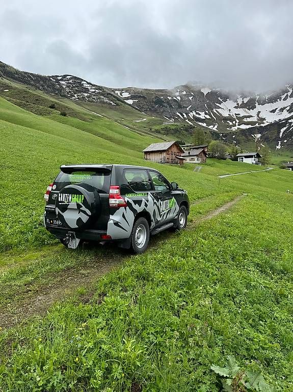 Autos: Toyota Land Cruiser 3.0 – D'occasion à Triesenberg par Gartengroup 1