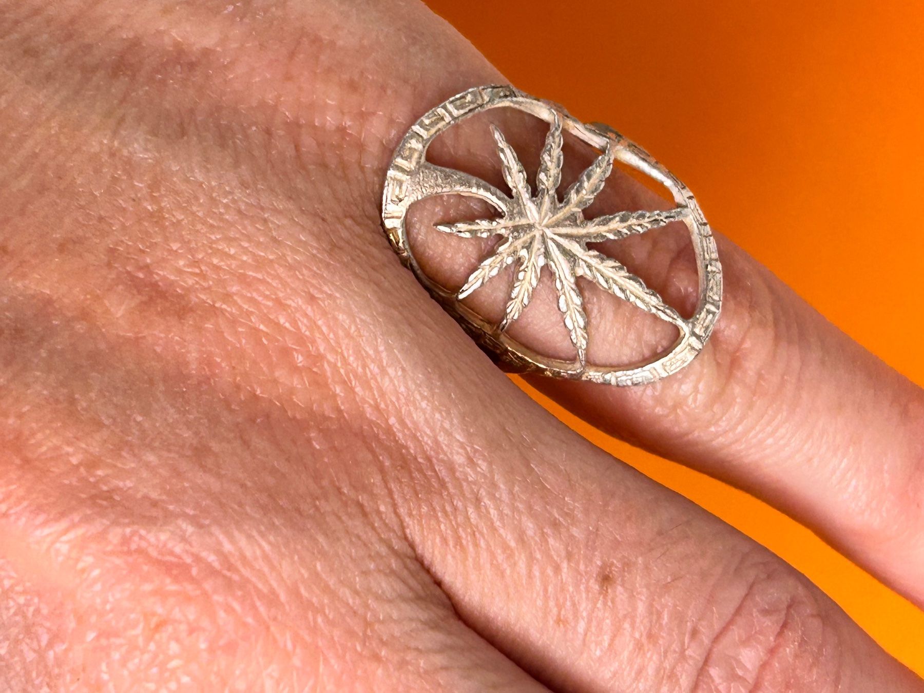 Ringe: Ring Palme  (52/16.5) – Gebraucht aus Laufen von Bellavitaboom 8