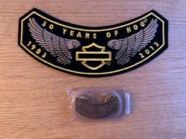 Harley Owners Group 2013 Patch mit Pin, Top Zustand