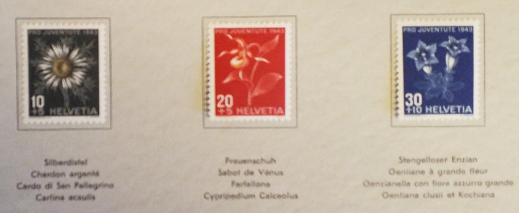 Alle Briefmarken: 1949, Geschenkheft Pro Juventute Bergblumen Kt. Lp – Neu (gemäss Beschreibung) aus Baden von Eggi 1