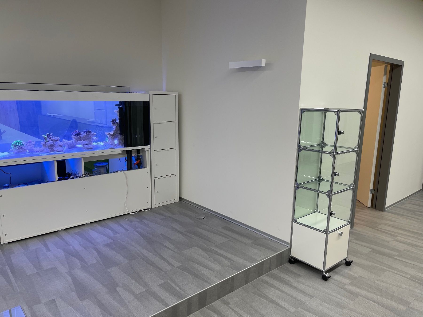 USM Regale: USM Glas  Praxis Vitrine Lieferung Gratis – Gebraucht aus Thun von Thuno6 2