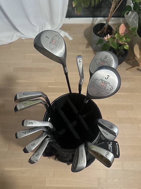 Mazze & Set: Pro Select Stainless Golfset komplett mit Headcovers - RH – Usato da Roggwil BE venduto da alsndros
