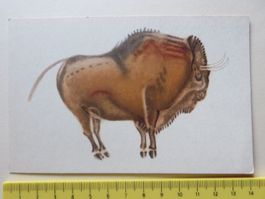 ALTE SCHÖNE POSTKARTE, BISON, LAS CUEVAS DE ALTAMIRA BISONTE