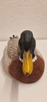 Stockenten-Erpel - The Kaiser Duck Collection