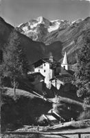 La sage et le pigne arolla