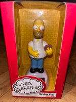 The Simpsons Homer Solar Pal
