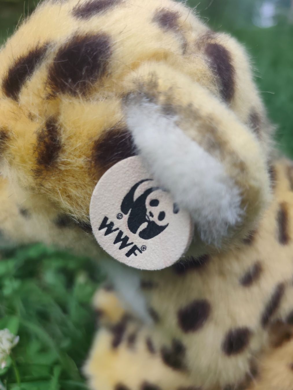 Spielzeuge: Baby Gepard Plüschtier – Gebraucht aus Wald ZH von Enyafay 2
