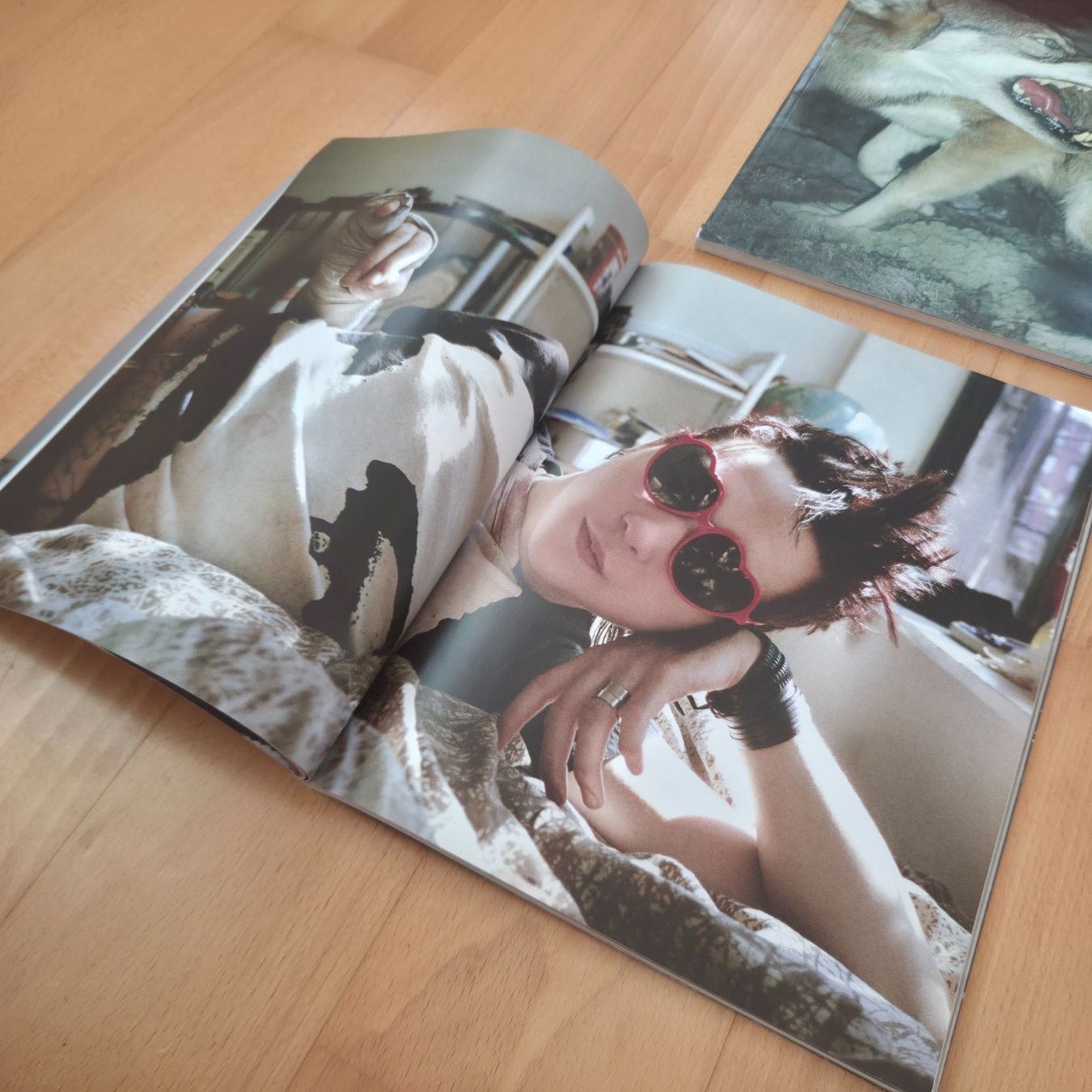 Revues & Magazines: 4 x Vice Magazine The Photo Issues 2007, 2008, 2009, Etc – D'occasion à Zürich par Wickeddude 8