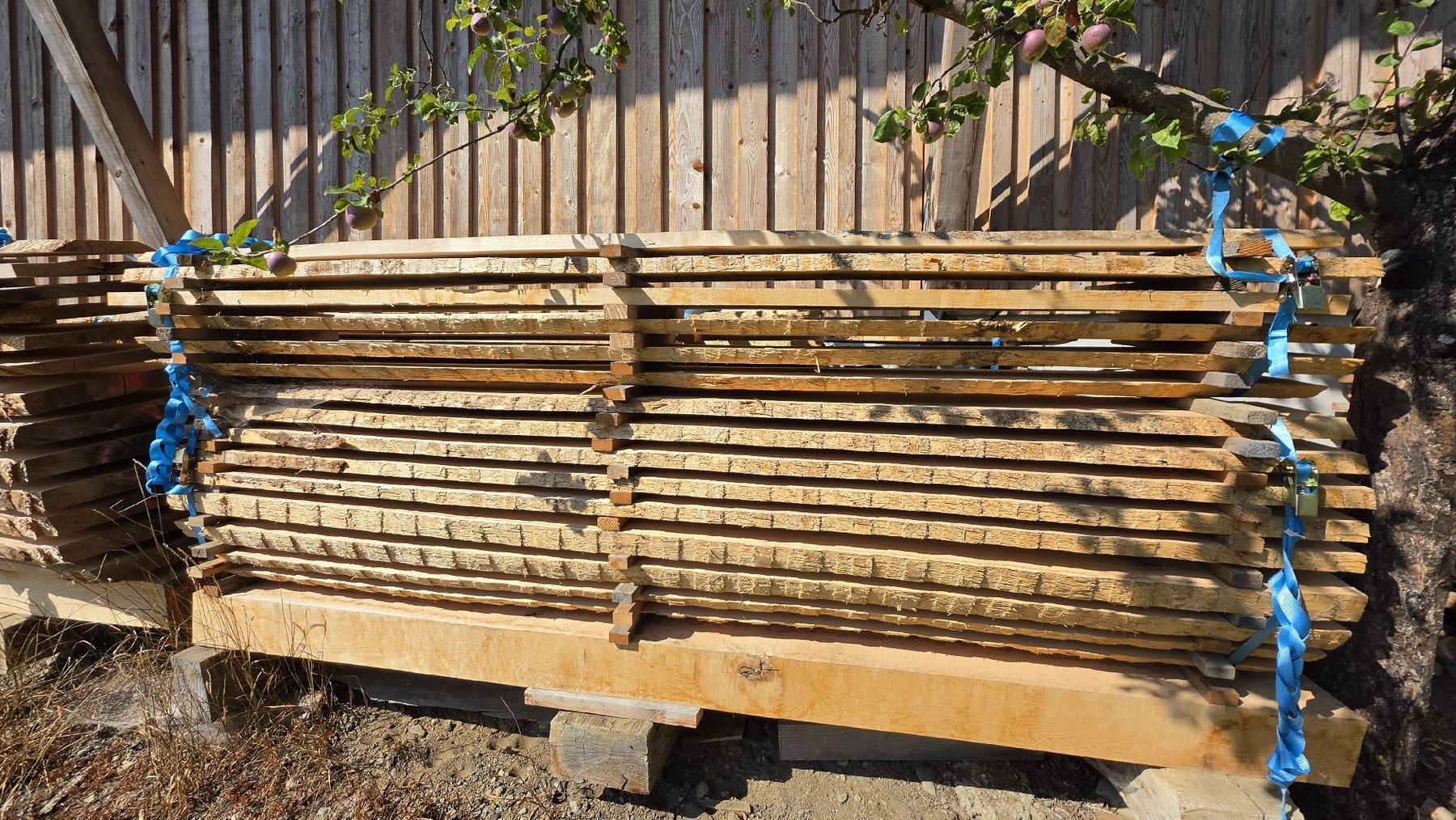 Articles en bois: eschen brett – D'occasion à Niedermuhlern par Bkdesign