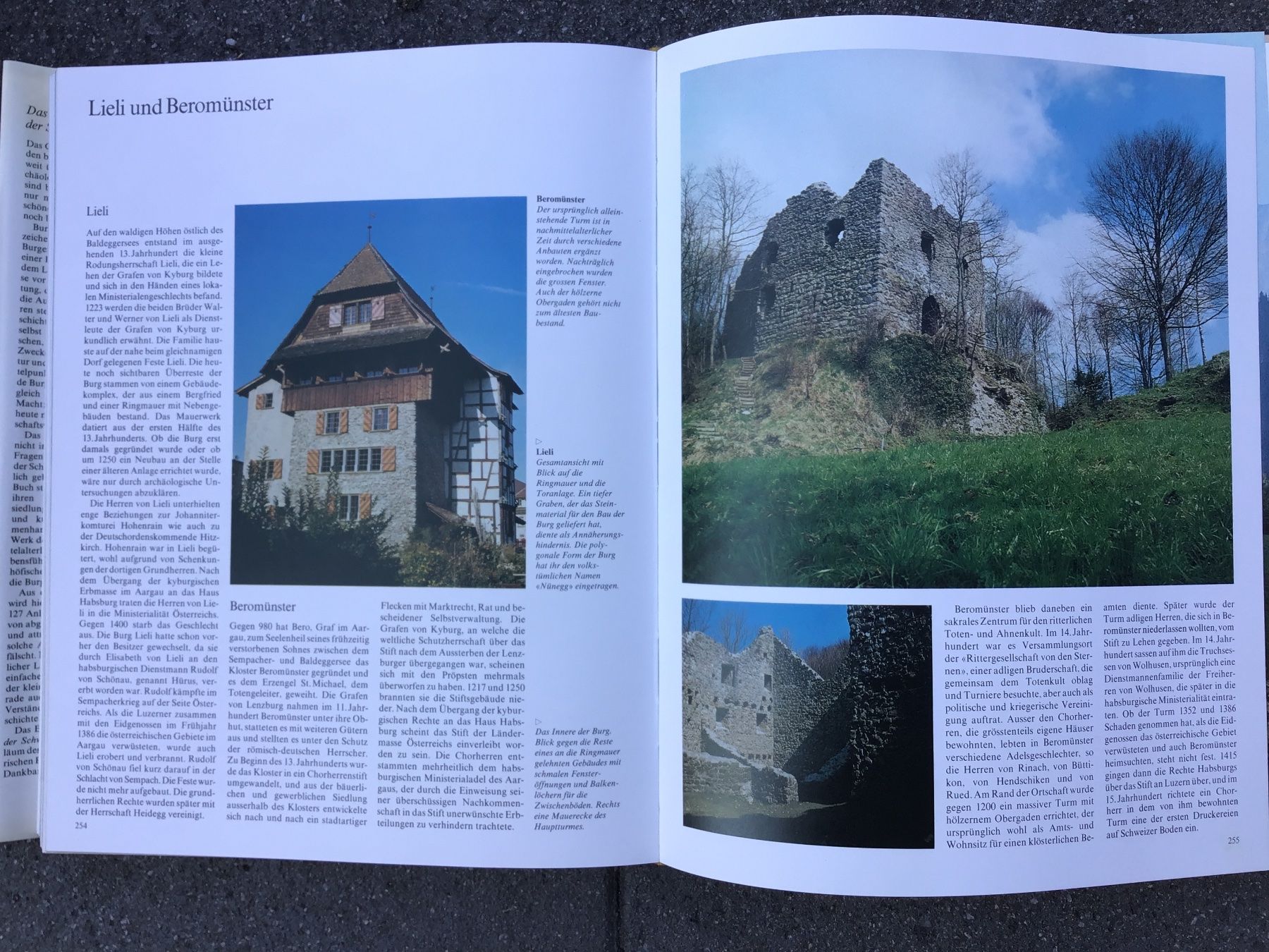 Bücher: Das grosse Burgenbuch der Schweiz 1977 Meyer/Widmer – Gebraucht aus Scherzingen von Starseller62 8