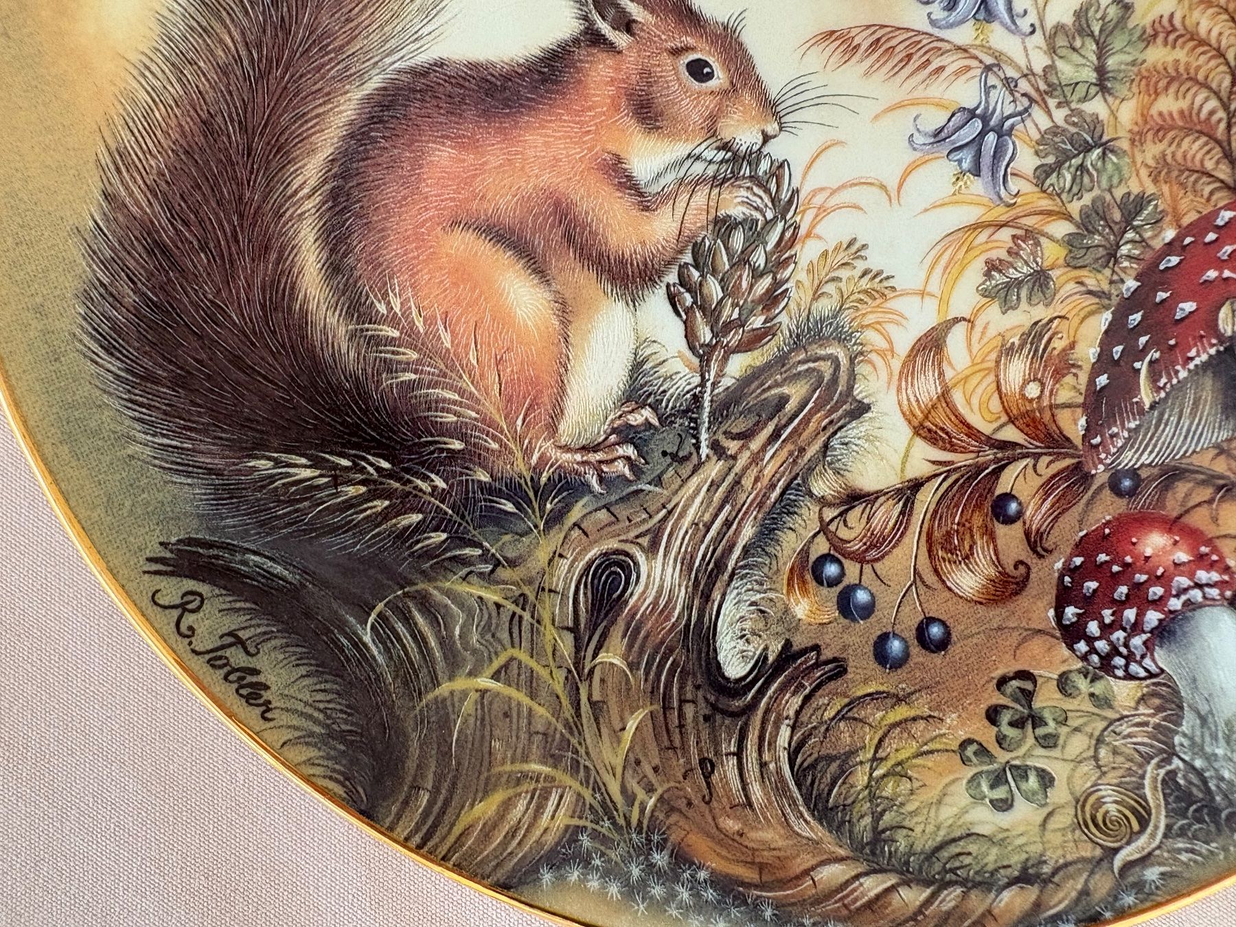 Piatti: Sammelteller mit Eichhörnchen Motiv, Herbstdeko, Top! – Usato da Lausanne venduto da opi_92cn 4