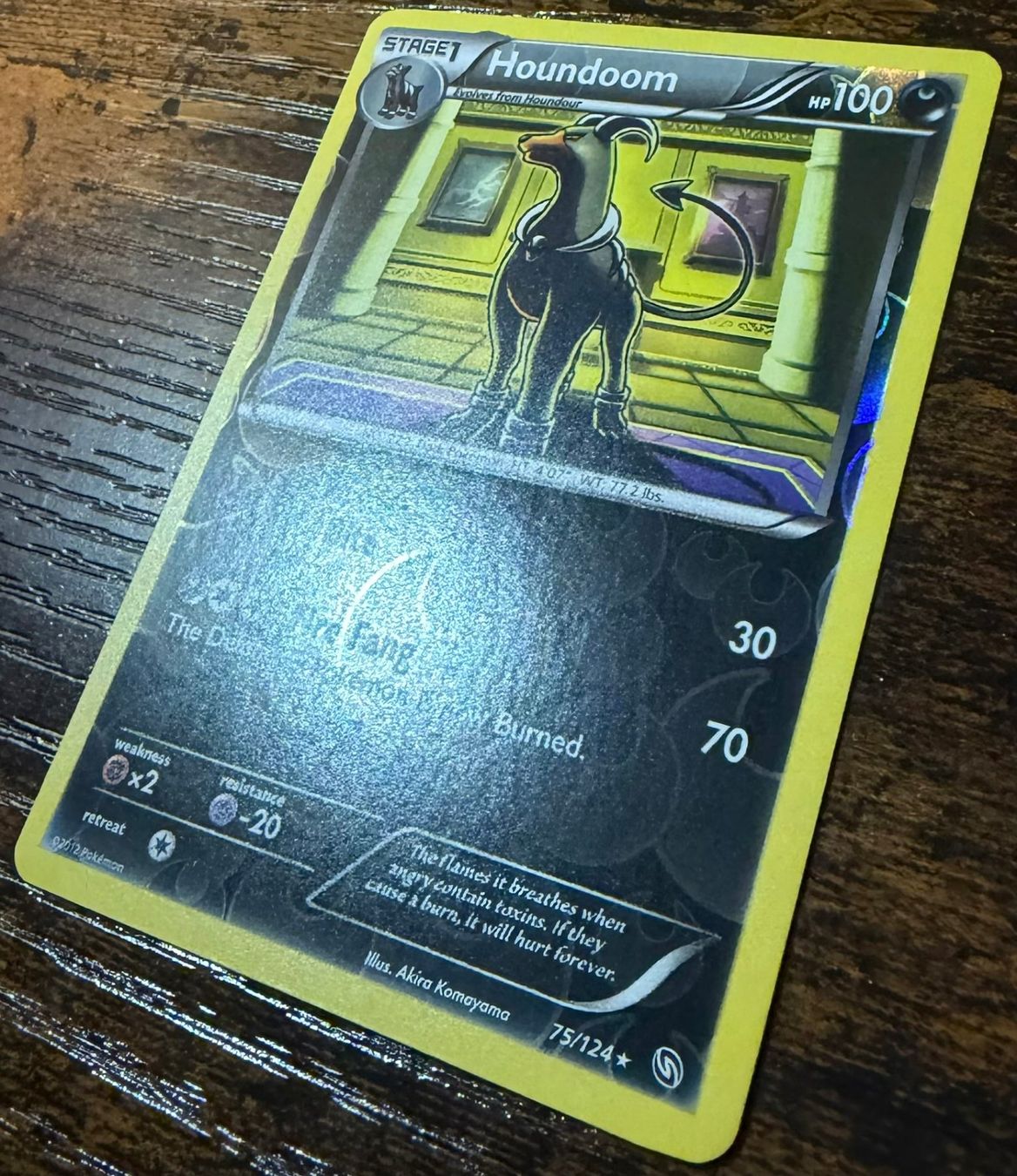 Pokémon Carte collezionabili: Houndoom Rare Reverse Holo 75 – Usato da Zürich venduto da PEACECOCOON 1