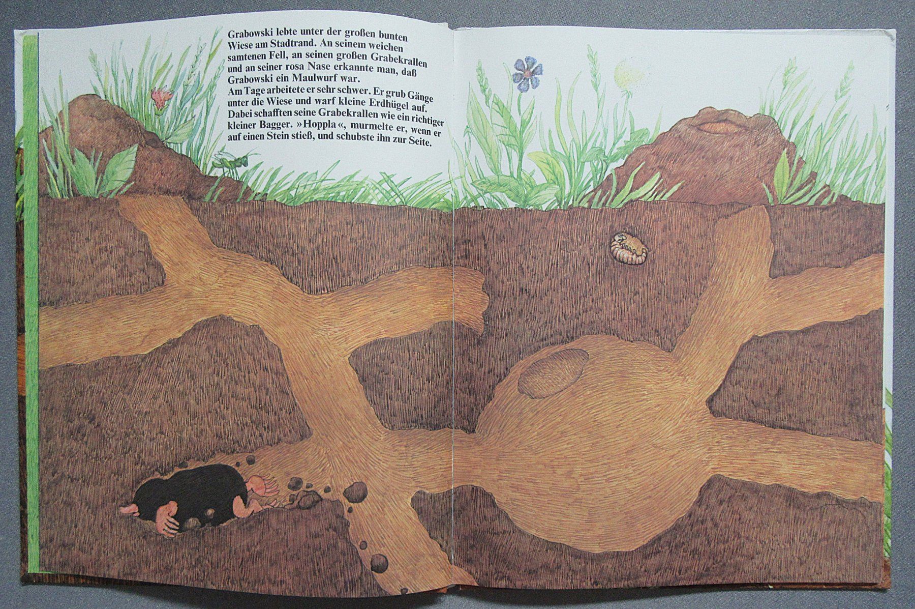 Bücher: Der Maulwurf Grabowski - ein Kinderbuchklassiker – Gebraucht aus Auenstein von Padabimbim 2