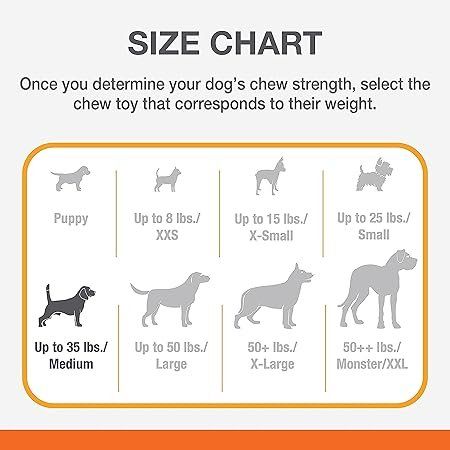 Giocattoli: Nylabone Double Action Dog Chew Wolf – Nuovo e nell'imballaggio originale da Oberentfelden venduto da Sch_md58 4