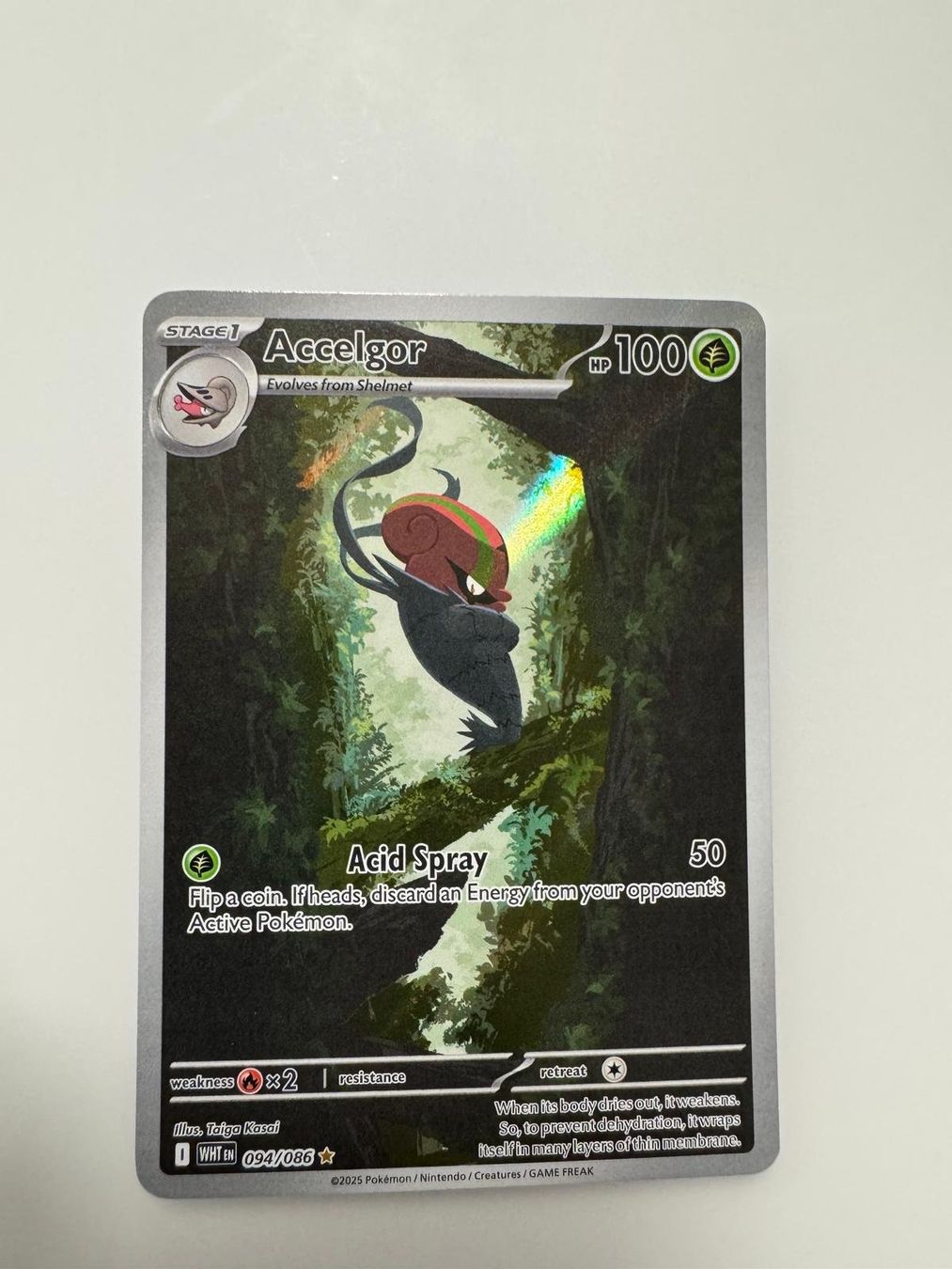 Pokémon Sammelbilder & Trading cards: Accelgor | Illustration Rare | WHT 094/086 | EN – Gebraucht aus Spreitenbach von Snacky96 2