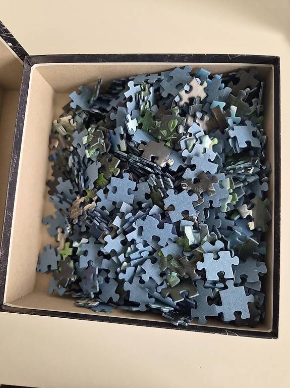 Ravensburger Puzzles: Ravensburger Puzzle/Escape Puzzle – Gebraucht aus Bütschwil von baesi278 2