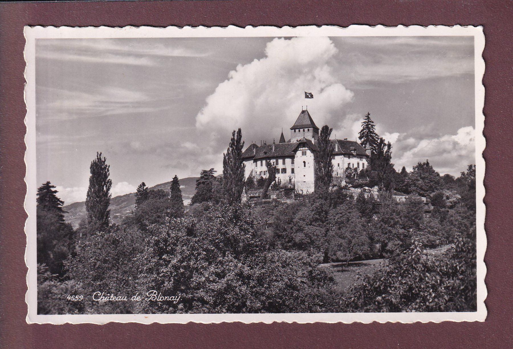 Cartes postales: Château de BLONAY - 1955 – D'occasion à Pully par nicecards