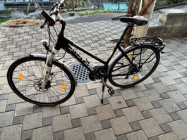 Pegasus Solero  Velo (Alu Light Disc)