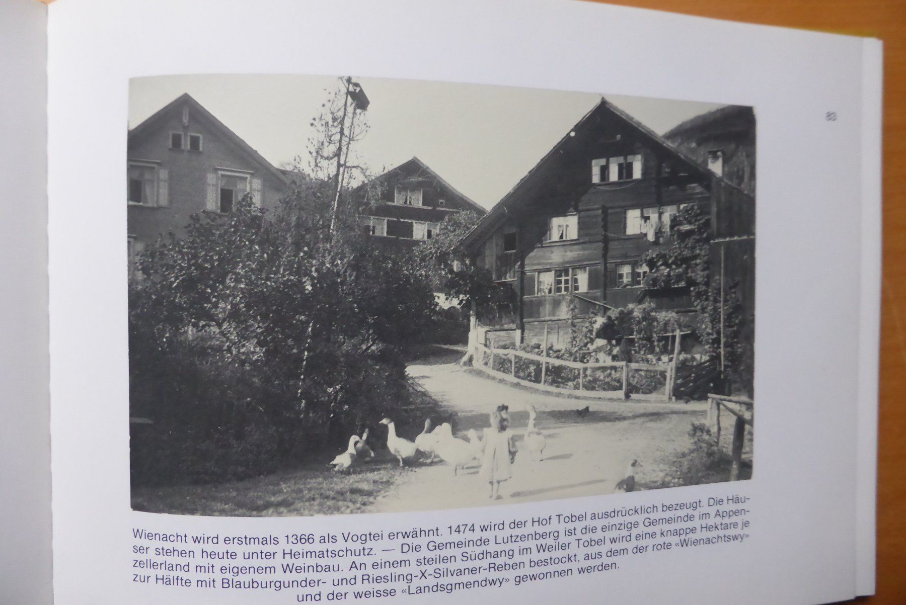 Libri: Postkartenbuch - AR Vorderland um 1900 – Usato da Brunnadern venduto da lesezirkel 8