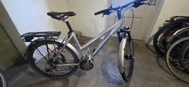 Damen Velo