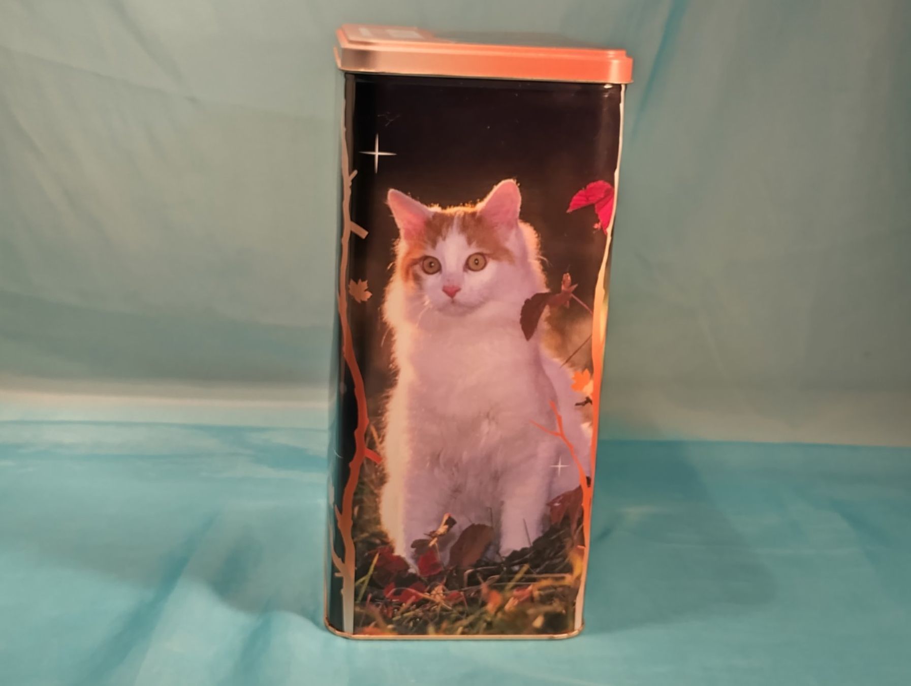 Sonstige Dekorationen & Accessoires: Grosse ROYAL CANIN Blechbüchse, Katzen – Gebraucht aus Bellach von JingleCherry 2