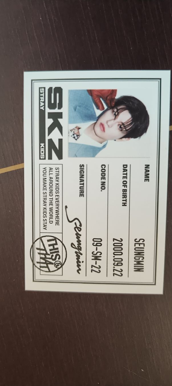 Sammelbilder & Trading cards: straykids this & that Seungmin ID – Neu (gemäss Beschreibung) aus Arzier-Le Muids von Wondertomate