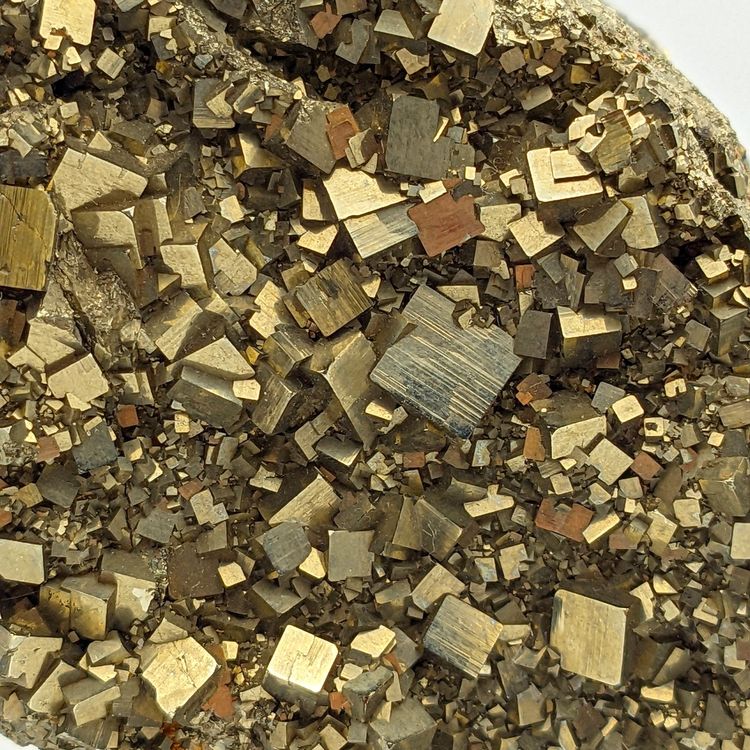 kubischer GOLDENER PYRIT, 100+ Kristalle | Kaufen auf Ricardo