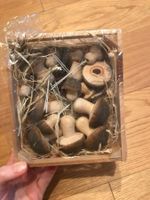 dekorative Pilze neu