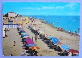 Torre Pedrera - La spiaggia