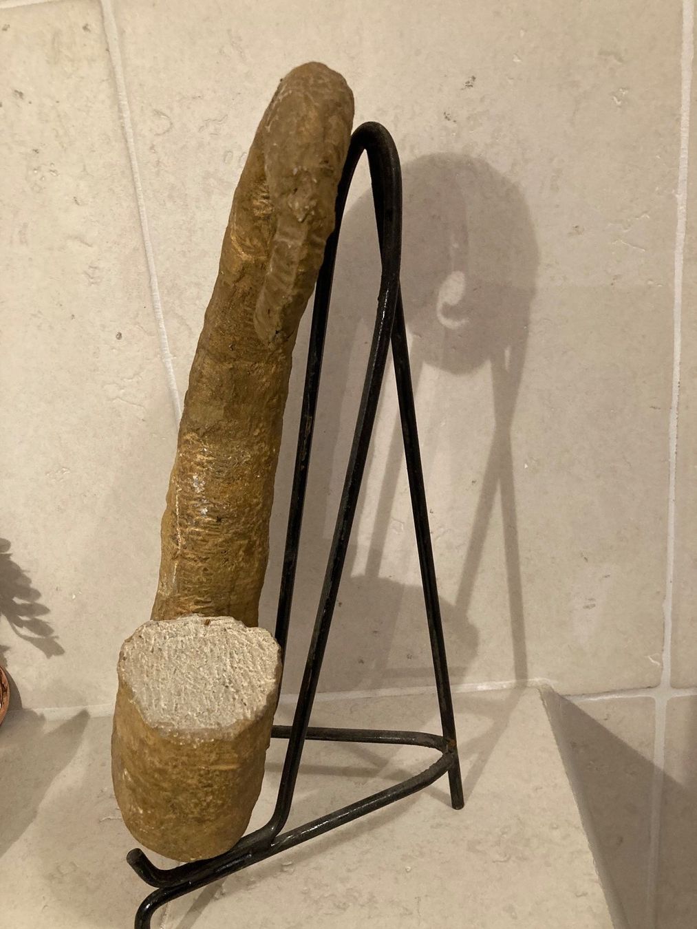 Fossilien: Amonit – Gebraucht aus Grasswil von Maria054 1