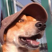 Profile image of Daise