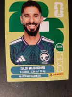 Panini 2026 KSA19