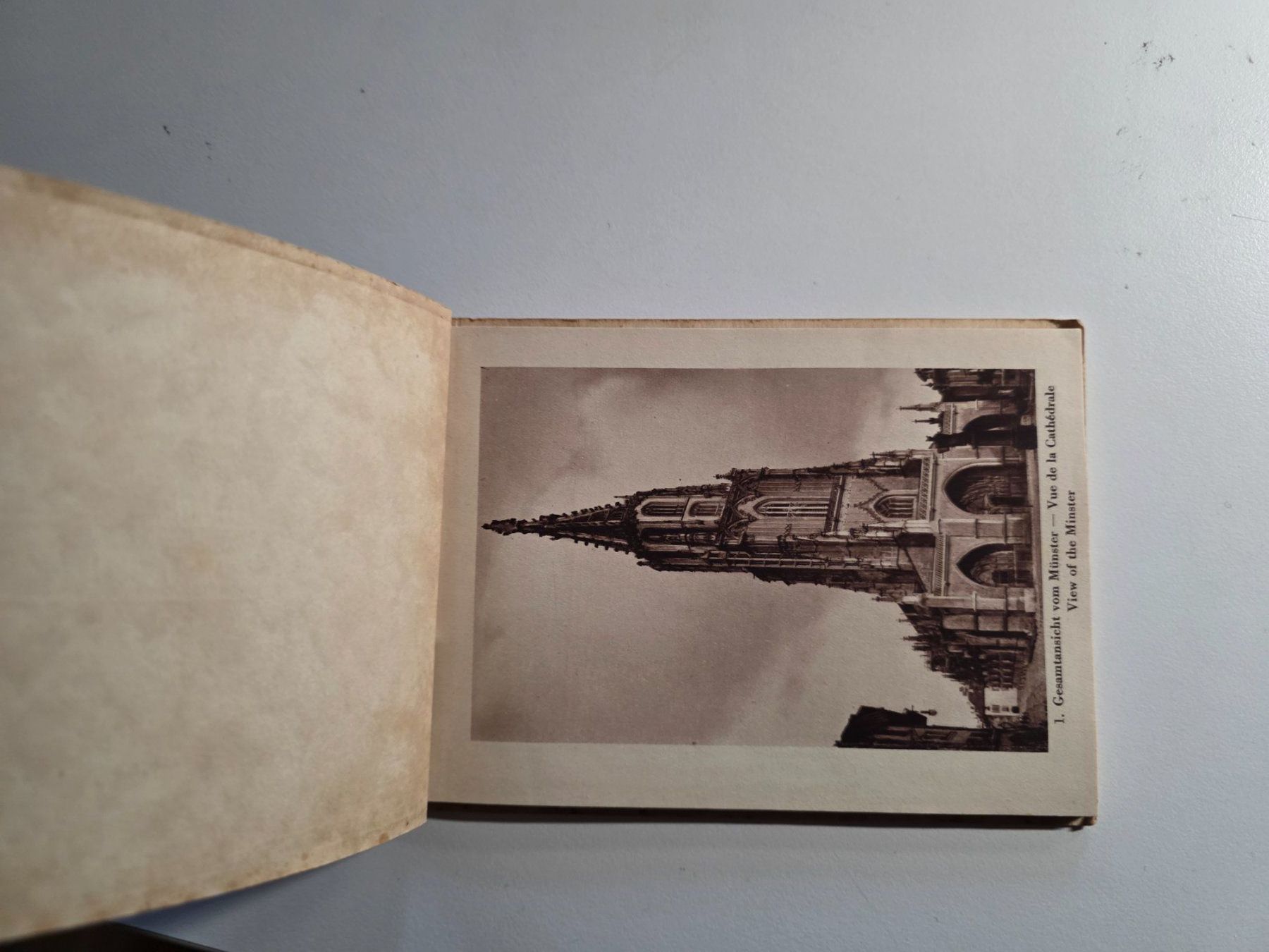 Libri: Das Berner Münster - Broschüre 1935 – Usato da Walterswil BE venduto da Lonitti 1