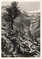 Alp Grüm Palügletscher