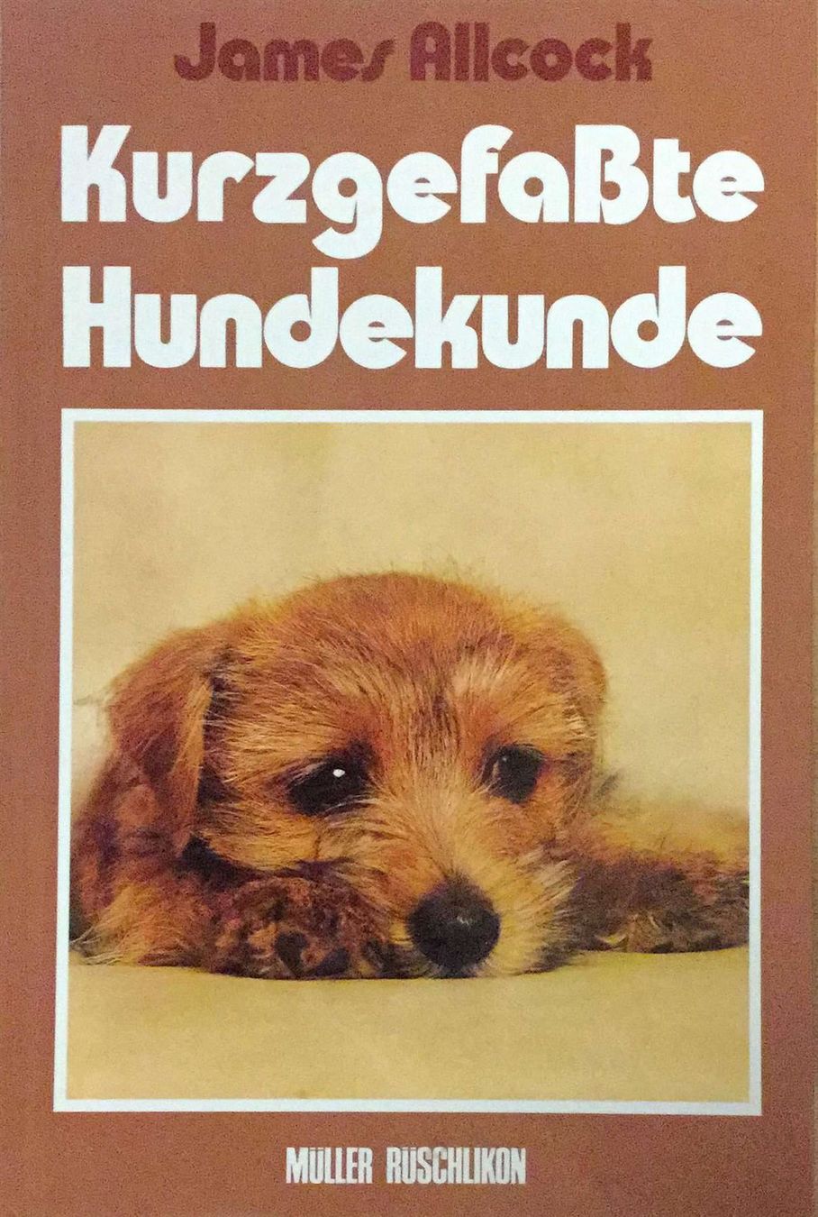 Libri: Kurzgefasste Hundekunde – Usato da Sarnen venduto da Livres