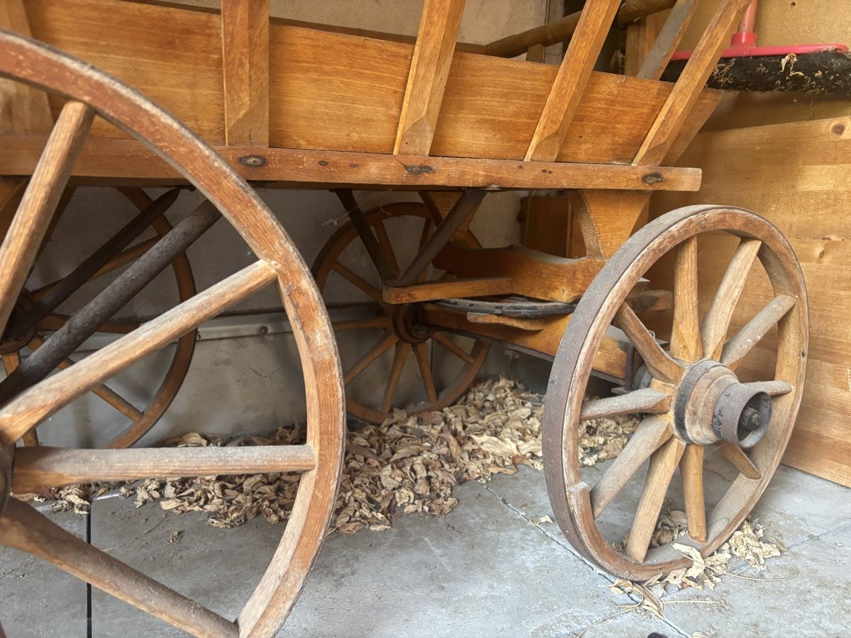 Culle: Stubenwagen / Leiterwagen / Holzwagen alt – Usato da Bichelsee venduto da hubraum_ 1