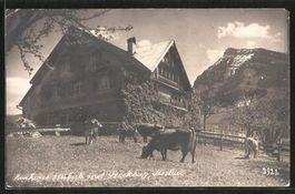 Nesslau, Kurhaus Hüberli, Stockberg, Fotokarte um 1910