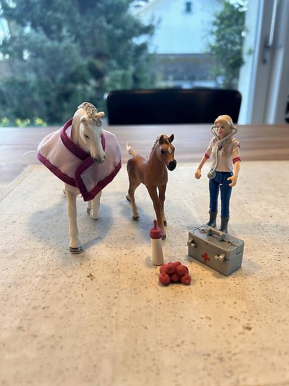 Giocattoli: Schleich Tierärztin  – Usato da Allschwil venduto da zena06