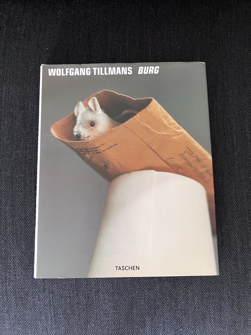 Libri: Wolfgang Tillmans - Burg – Usato da Adliswil venduto da lauryyrual