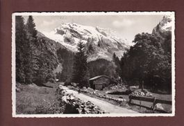 ÄLPLI - Säntis - 1952