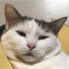 Profile image of misc_trader