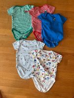5 Kurzarm-Bodys Gr. 74/80  Next Baby & weitere Marken 