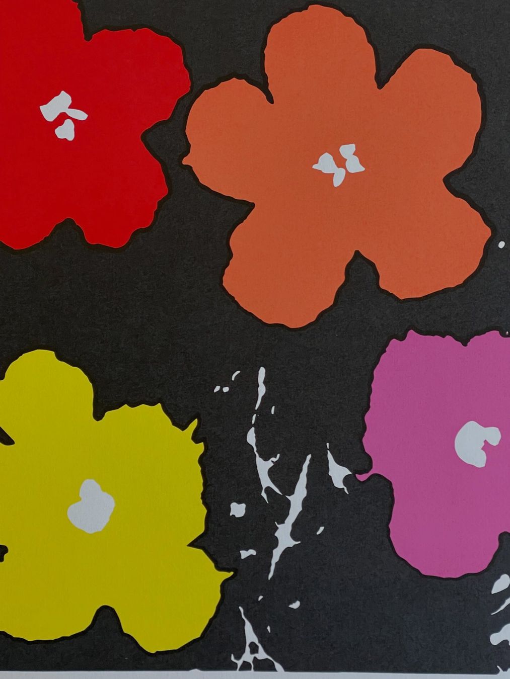 Foto & Immagini: Andy Warhol - Flowers 2/100 - Neu eingetroffen – Nuovo e nell'imballaggio originale da Adligenswil venduto da O_D_E_O_N