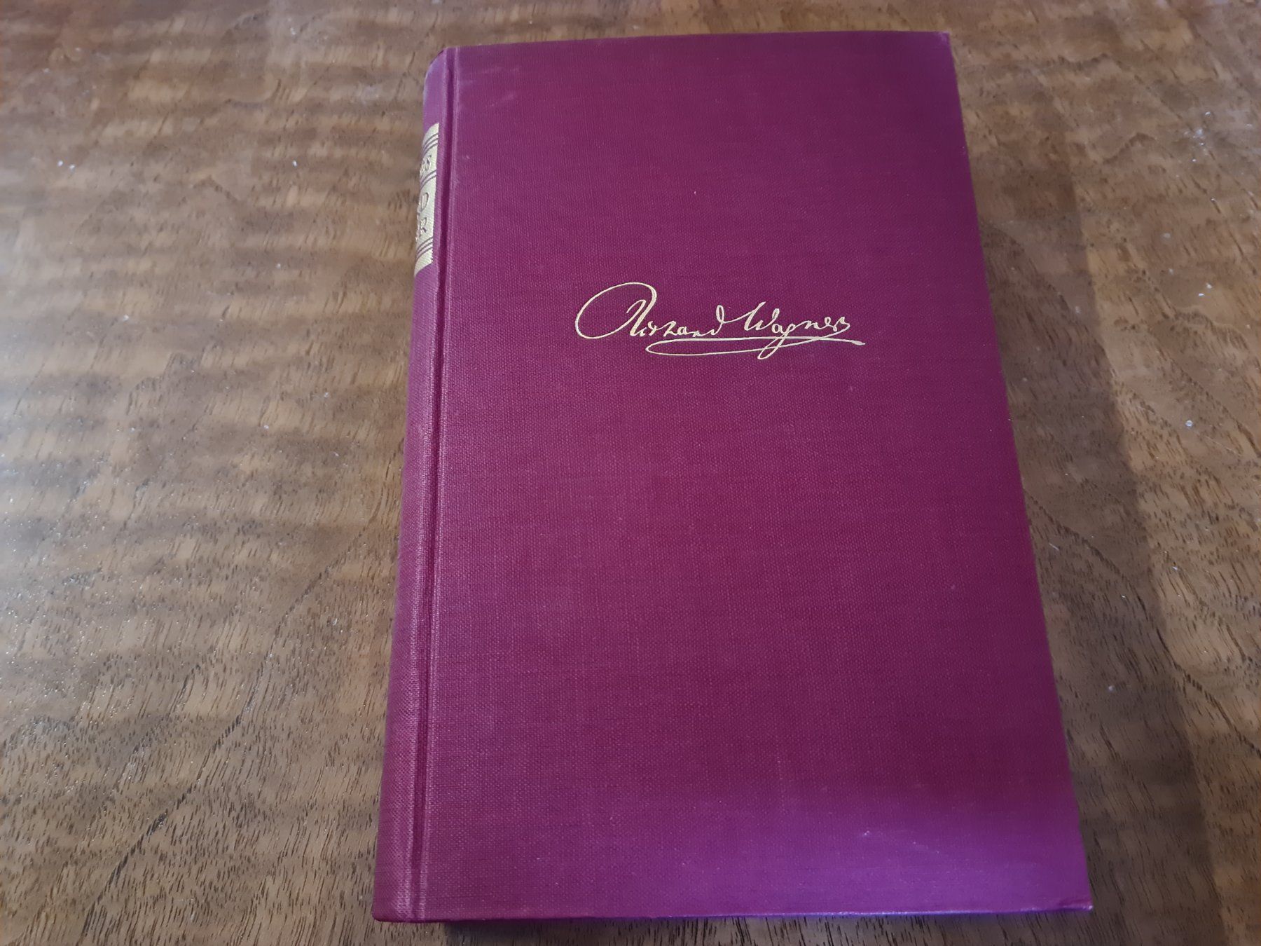Libri: Pourtalés•Richard Wagner – Usato da Erstfeld venduto da Mario_boe0