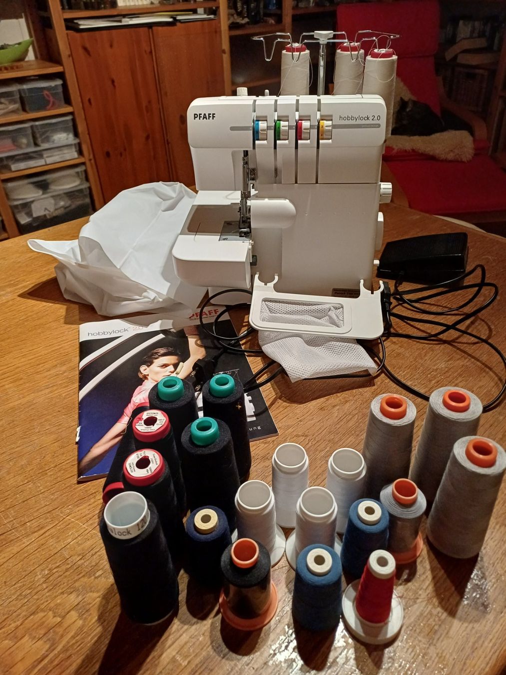 Pfaff Machines à coudre: Pfaff Hobbylock 2.0 – D'occasion à Meisterschwanden par Ursle15 1