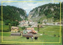 LE LOCLE Le Col-des-Roches - vaches